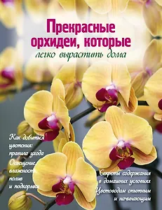 Прекрасные орхидеи, которые легко вырастить дома