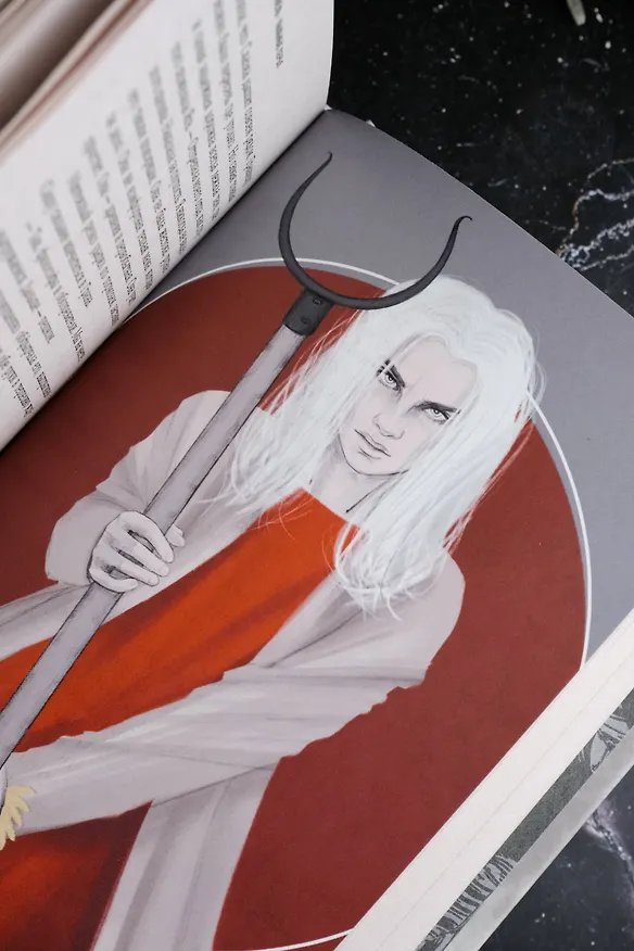 Книга Пыльные перья (Ольга Дехнель) — 11