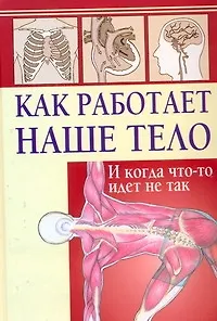 Как работает наше тело. И когда что-то идет не так