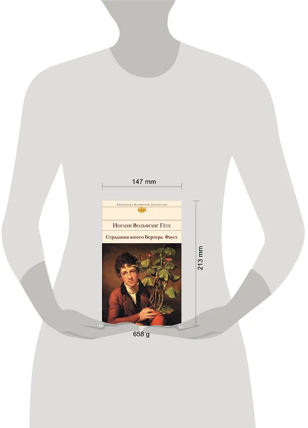 Книга Страдания юного Вертера. Фауст (Иоганн Вольфганг Гёте) — 5