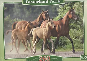 Пазл 260 B-27194 Лошади (32х23см) (коробка) (Castorland)