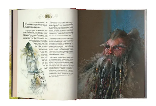 Книга Вселенная гномов (Гильермо Гонсалес) — 6