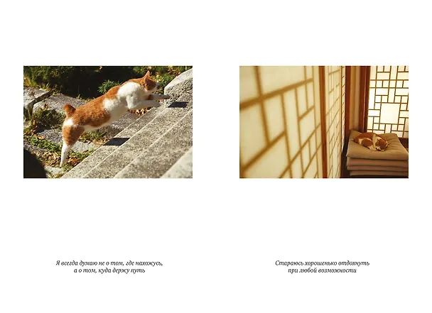 Книга Однажды ко мне пришел кот (Погён) — 12