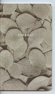 Тетрадь для записи иностранных слов Be Smart, "Botanica. Эвкалипт популус", А5, 48 листов