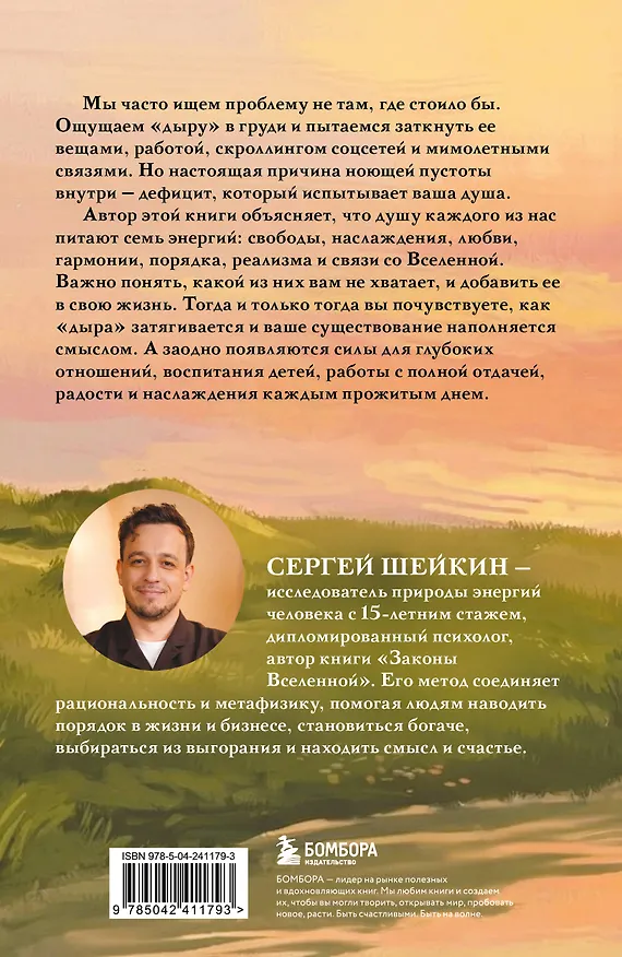 Книга Семь энергий души. Инструкция по применению жизни (Сергей Шейкин) — 2