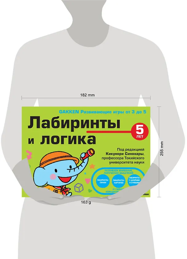 Книга 5+ Лабиринты и логика (Кикунори Синохара) — 5