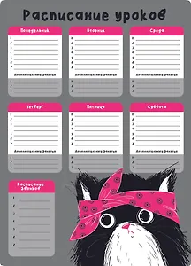 Расписание уроков А3 "ХИП ХОП КОМАНДА" полипропилен