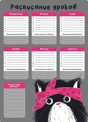 Расписание уроков А3 "ХИП ХОП КОМАНДА" полипропилен 2938855