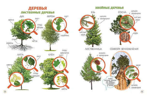 Книга Главная книга малыша. Фотоэнциклопедия () — 9