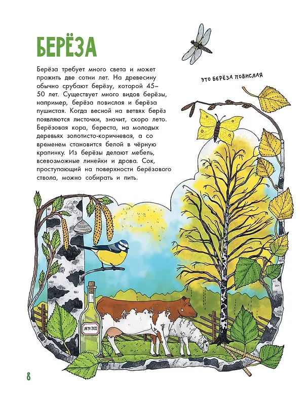 Книга Деревья (Эмма Янссон) — 12
