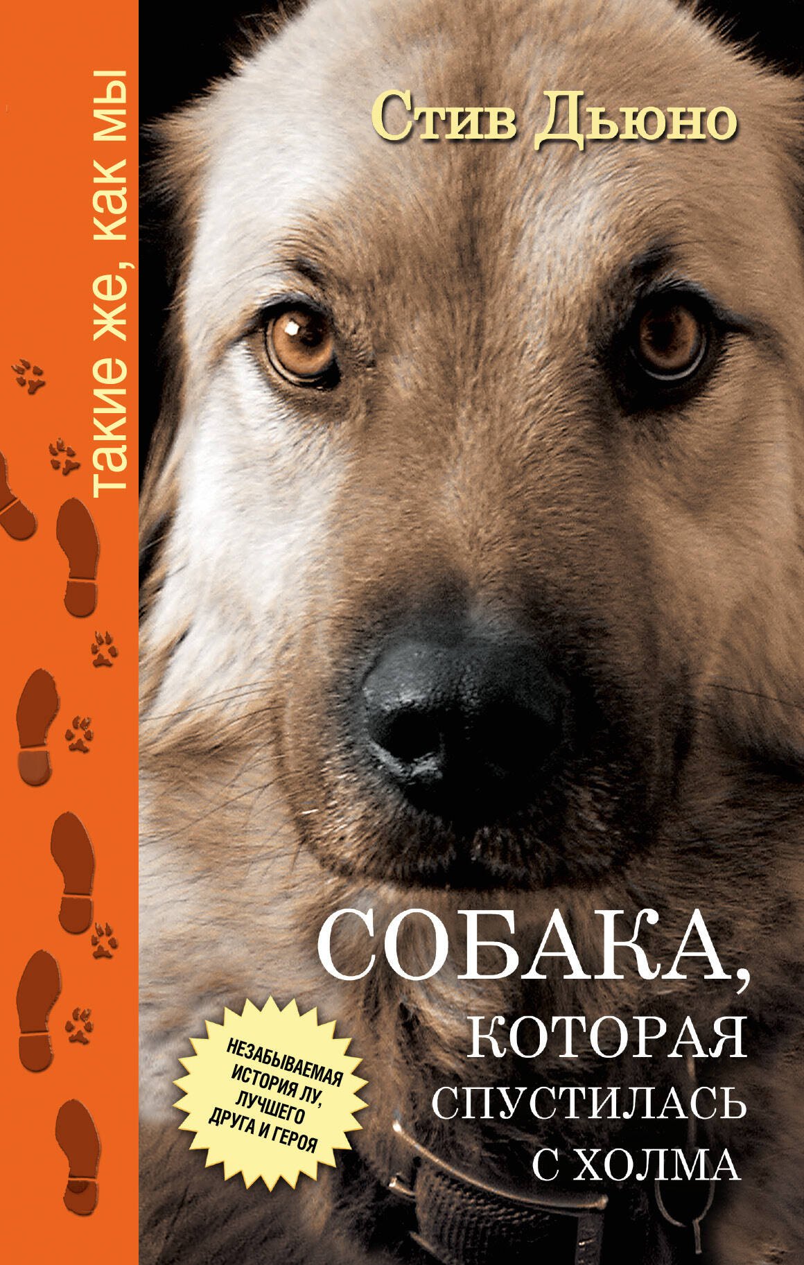 

Собака, которая спустилась с холма. Незабываемая история Лу, лучшего друга и героя