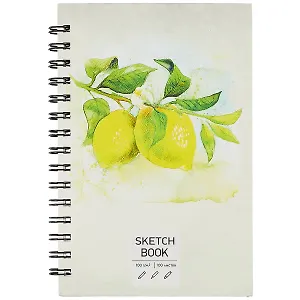 Скетчбук А5 100л "SKETCHBOOK. Лимоны", 100г/м2, евроспираль