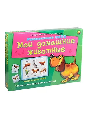 Лото с загадками Мои домашние животные (ИН-8146) (Рыжий кот) 2416283