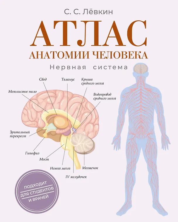 Книга Атлас анатомии человека. Нервная система (Сергей Лёвкин) — 1