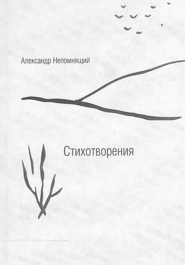 Книга Стихотворения (Александр Непомнящий) — 1