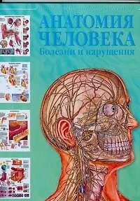 Анатомия человека. Болезни и нарушения