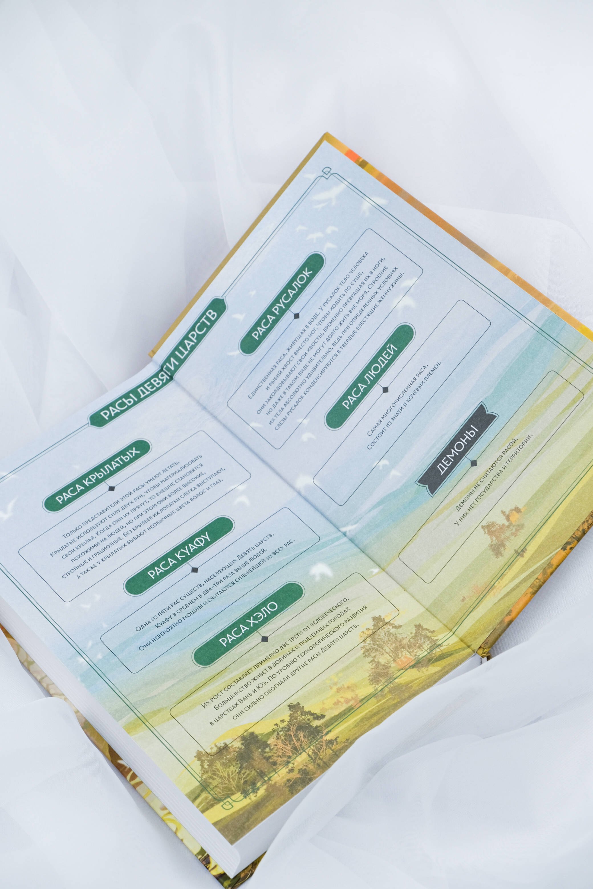 Изображение бумажной книги