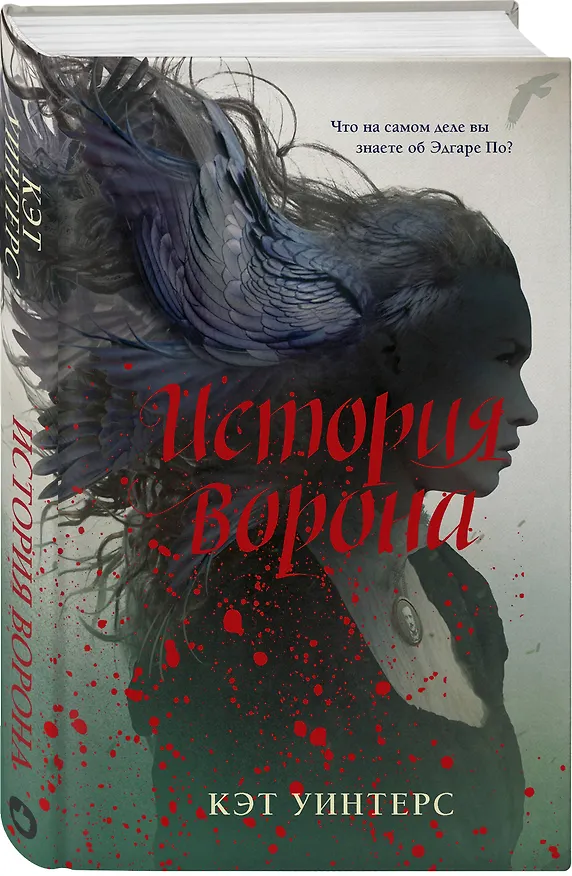 Книга История ворона (Кэт Уинтерс) — 4