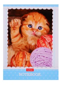 Блокнот А6 48л кл. "Котиков много не бывает" скоба, бум.обл., ламинация, ассорти