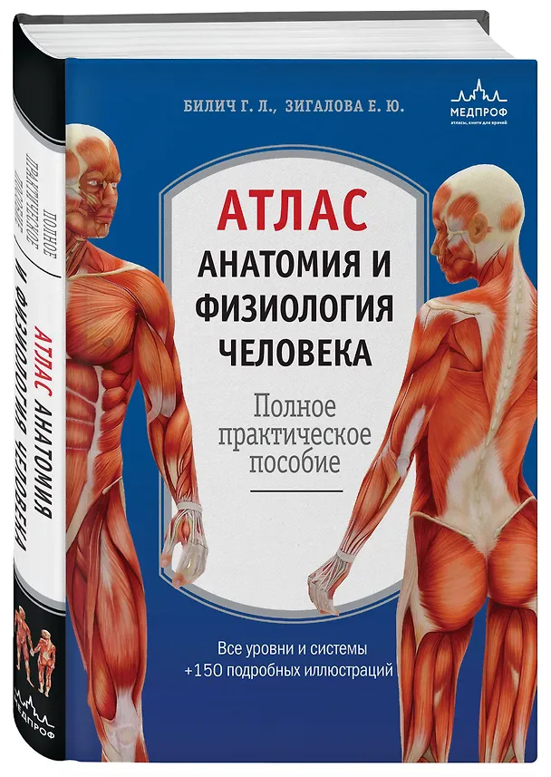 Книга Атлас. Анатомия и физиология человека: полное практическое пособие. 2-е издание, дополненное (Елена Зигалова, Габриэль Билич) — 4