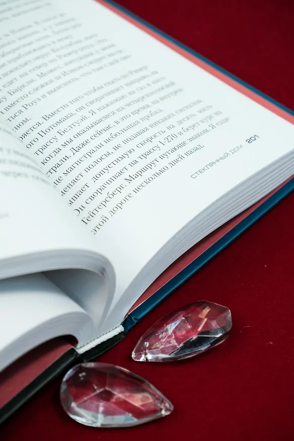 Книга Стеклянный дом (Сара Пекканен) — 13