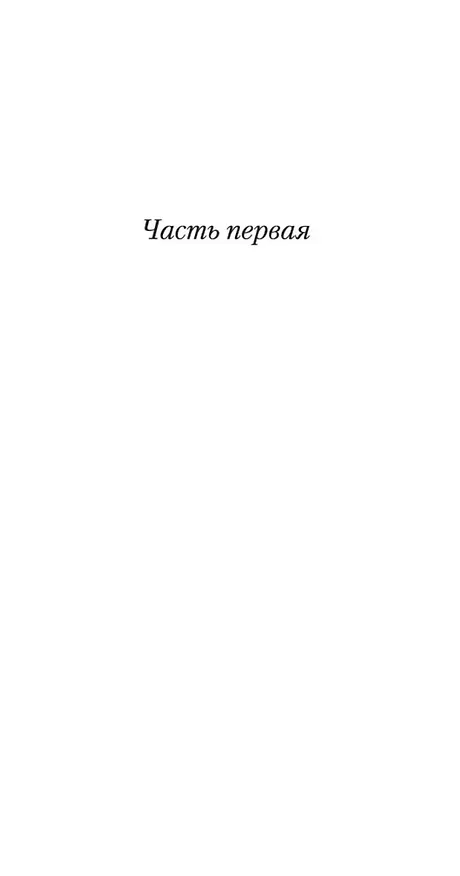 Книга Возвращение (Бернхард Шлинк) — 9