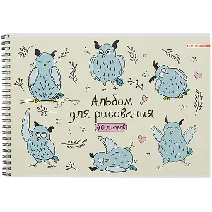 Альбом для рисования Academy Style, "День совы", А4, 40 листов, на гребне