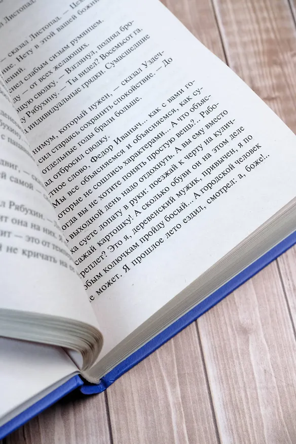 Книга Кружилиха. Евдокия (Вера Панова) — 10