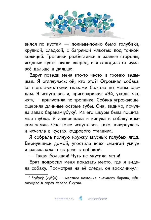 Книга Игра в камешки (Мария Федотова) — 4