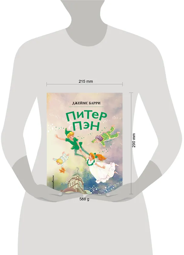 Книга Питер Пэн (ил. Гао Бэй) (Джеймс Барри) — 13