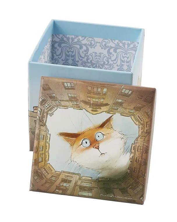 Коробка подарочная СПб "Чувиляева. Кот Арсений. Двор-колодец" 9,5*9,5*10см, картон 3031445 — 2