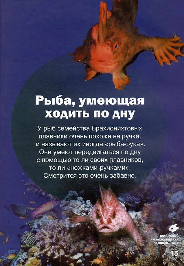 Книга Волшебный и фантастический подводный мир (Василий Климов) — 5