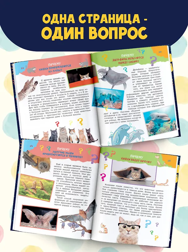Книга Большая книга почему (Павел Бобков) — 6