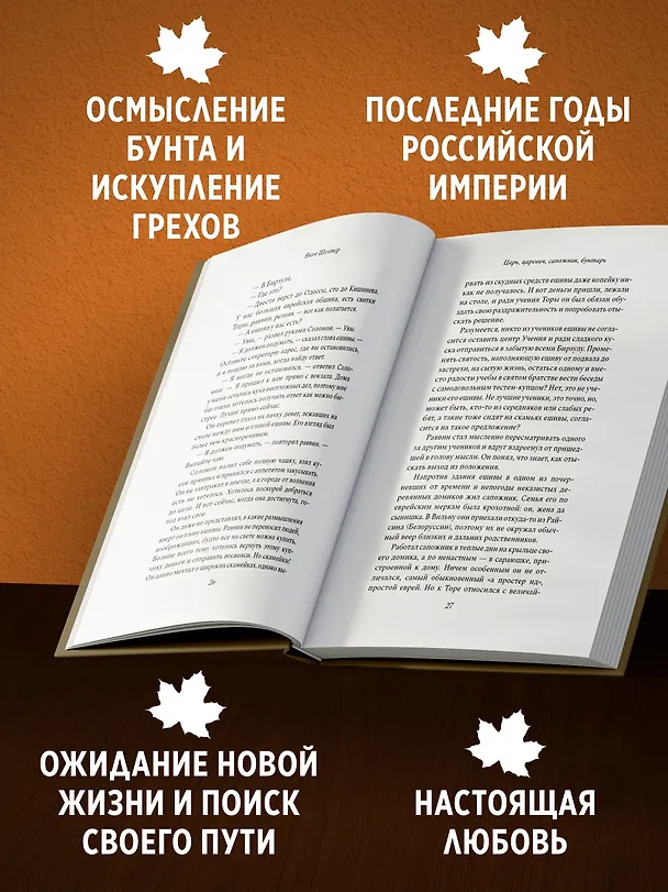 Книга Царь, царевич, сапожник, бунтарь (Яков Шехтер) — 5