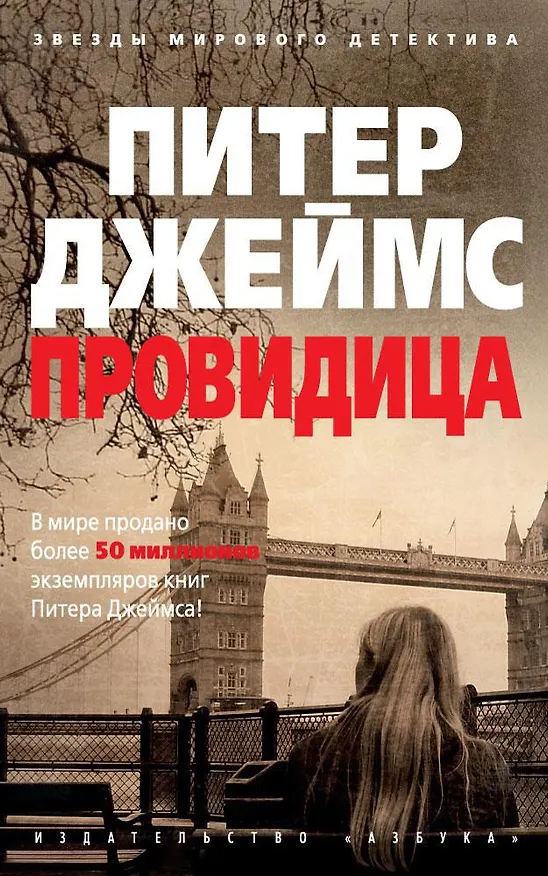 Книга Провидица (Питер Джеймс) — 1