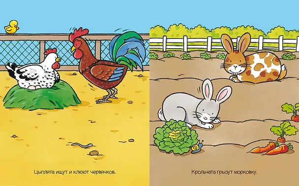 Книга На ферме (Сильви Мишле) — 4