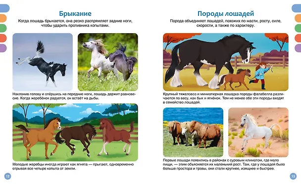 Книга Лошади (Мари-Рене Гийоре) — 14
