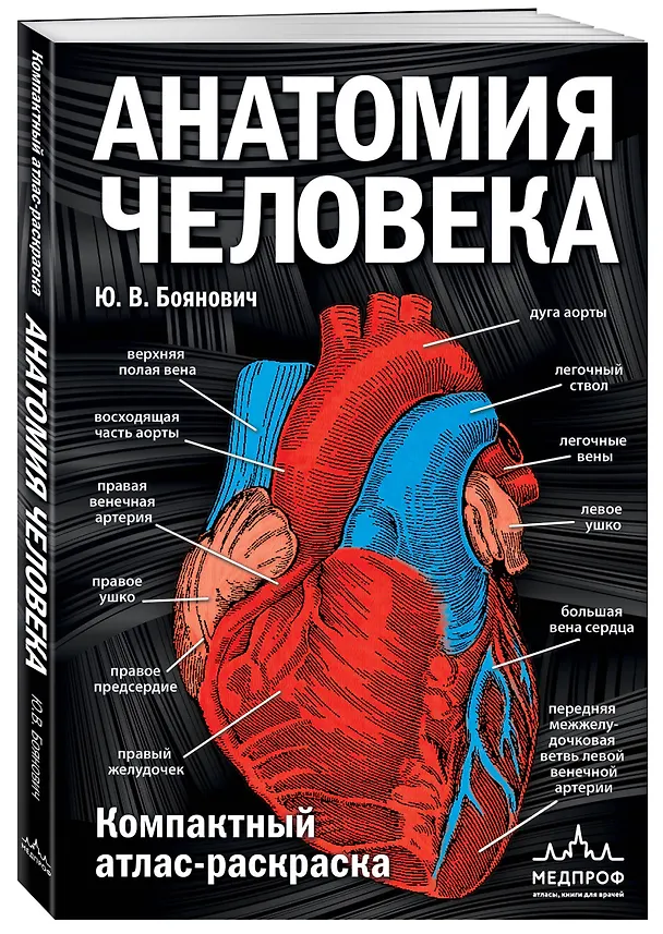Книга Анатомия человека: компактный атлас-раскраска (Юрий Боянович) — 4