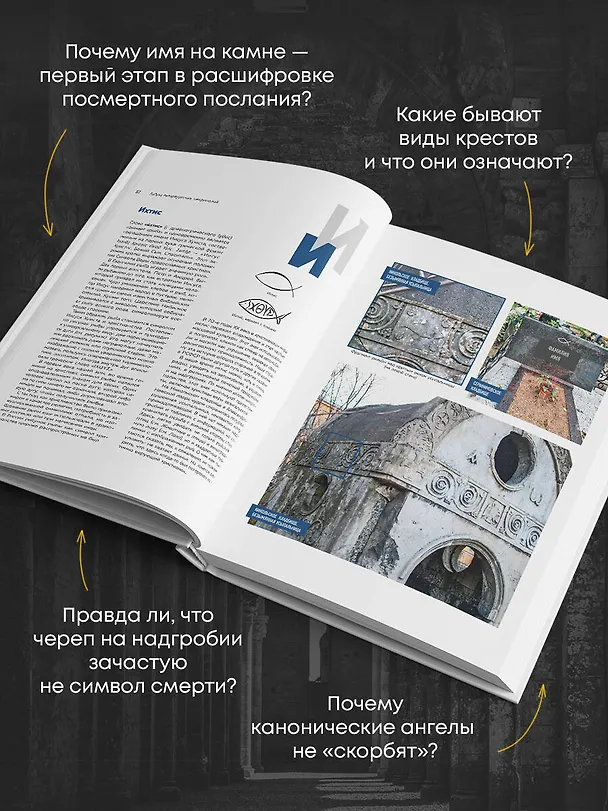 Книга Азбука петербургских некрополей. Корабли, черепа, ангелы (Елена Васильева) — 8