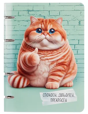 Тетрадь 100л кл. "Прекрасен" на кольцах, пласт.обл., полноцв.печать 3084250