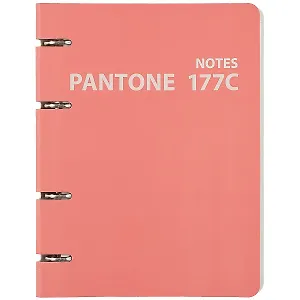 Тетрадь на кольцах в клетку Listoff, "Pantone line 177С", 120 листов