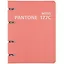 Тетрадь на кольцах в клетку Listoff, "Pantone line 177С", 120 листов — 2883700 — 1