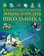 Большая иллюстрированная энциклопедия школьника — 2612214 — 1