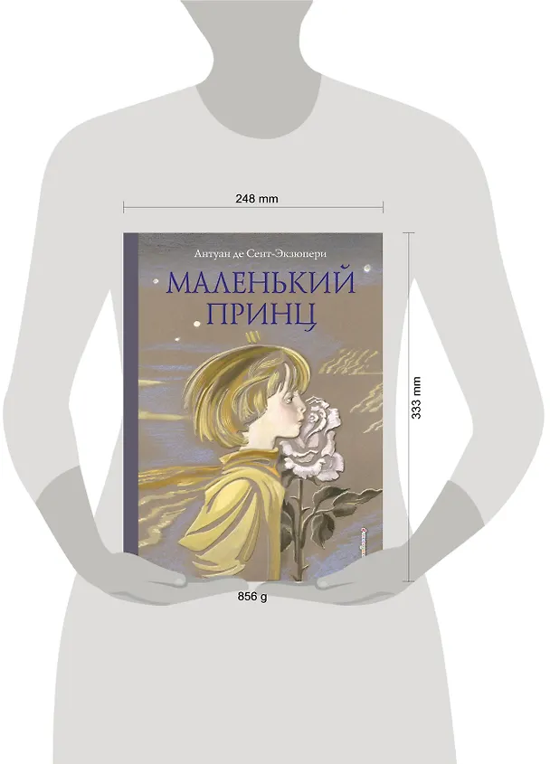 Книга Маленький принц (Антуан де Сент-Экзюпери) — 12
