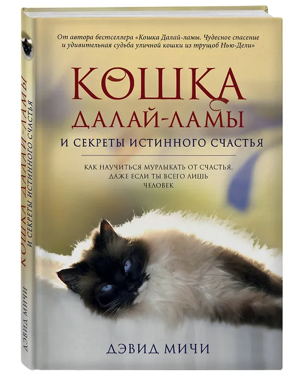Книга Кошка Далай-Ламы и секреты истинного счастья (Дэвид Мичи) — 4