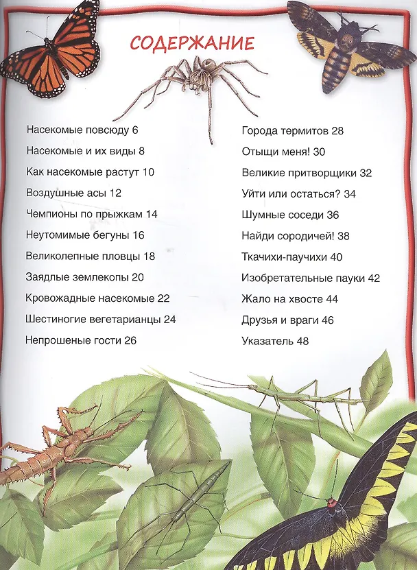 Книга Насекомые () — 2