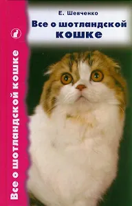 Все о шотландской кошке. Скоттиш фолды. Страйты. Хайленд фолды