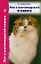 Все о шотландской кошке. Скоттиш фолды. Страйты. Хайленд фолды — 2156013 — 1
