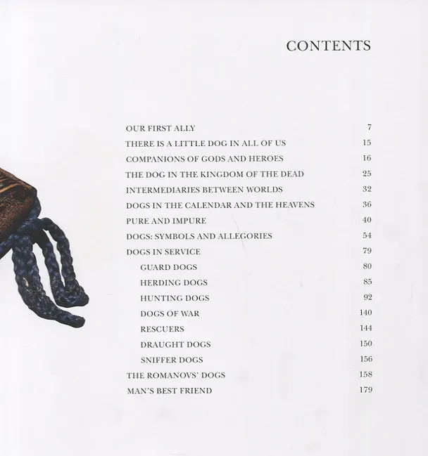 Книга Gods,Humans, Dogs () — 2