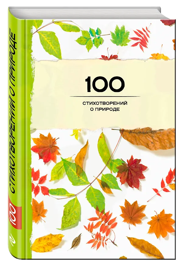 Книга 100 стихотворений о природе (Афанасий Фет, Михаил Лермонтов, Федор Тютчев, Александр Пушкин) — 4
